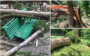 Copaci puși la pământ, la Târgu Jiu, de o vijelie care a măturat orașul (Video)