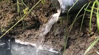 Băile Strunga, ruinele unei stațiuni balneare celebre