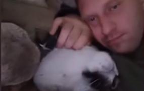 Cel mai căutat om din Polonia, un fost soldat, a fugit într-o pădure cu o pumă