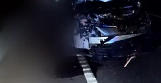 O turmă de oi a fost spulberată pe Drumul European 70, în Teleorman