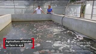 Observator 13 Weekend