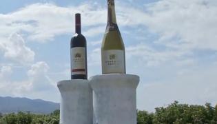 Turismul viticol, tot mai apreciat în pandemia de coronavirus