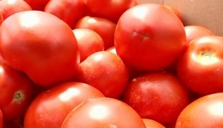 România a ajuns să importe legume de miliarde de euro