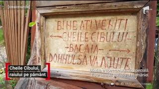 Observator 16 Weekend