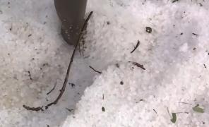 Grindina a făcut prăpăd pentru a doua zi la rând, în Suceava