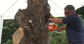 Festival inedit de sculptură fină cu drujba în Vâlcea