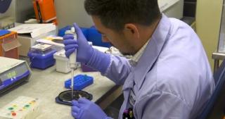 Direcțiile de Sănătate Publică, cu puține arme împotriva COVID-19