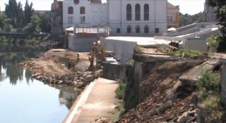 Arbori seculari, puși la pământ pentru a face loc betoanelor, în Oradea