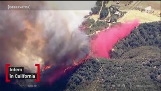 Observator 13 Weekend