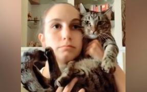 Pisica folosită de post de telefon, noul trend de pe TikTok