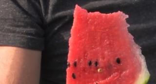 Pepenii din Bihor amenință supremația celor de Dăbuleni