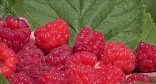 Geoagiu Băi, mai mult decât băi termale