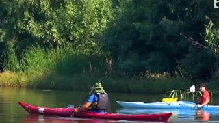 Delta Dunării, descoperită din caiac. Un fost sportiv le arată turiștilor zone neexplorate din rezervație