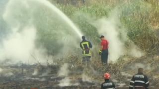 Un nou incendiu produs la o fostă fermă de porci din Periș a înecat în fum zone rezidențiale din București (Video)
