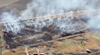 Incendiile din Ilfov sufocă Bucureștiul: "Nu se putea respira, nu puteai ţine ochii deschişi, tuşeam încontinuu"