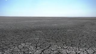 Lacul Nuntaşi din Constanţa, de peste 800 de hectare, a secat