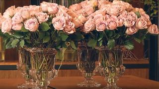 Plantele decorative, o pată de culoare în vremea pandemiei