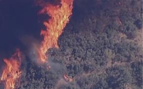 Incendiile de vegetație fac prăpăd în California (Video)