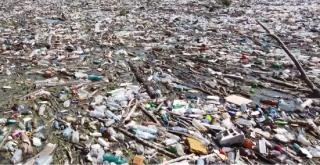 O insulă de gunoaie s-a format pe râul Olt, după inundațiile din ultima perioadă (Video)