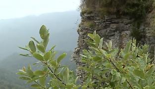 Peisaje unice pe traseul Scaunul Donului din defileul Mureşului