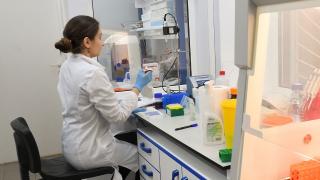 Nouă metodă de testare Covid, experiment uriaș în Belgia