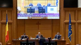 Ședințele online ale Camerei Deputaților, sursă de umor involuntar (Video)