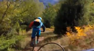 Plimbările prin pădure, în baza unor reguli bine stabilite (Video)