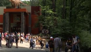 Nici bine nu a început weekendul că turiştii au umplut staţiunile de la munte