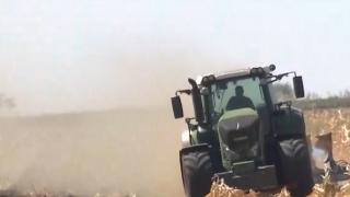 Secetă severă, resimţită în multe judeţe. Mii de fermieri au fost afectaţi în acest an