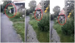 Tânără mamă trasă în ocol și ruptă cu bătaia de doi vecini, la Morlaca: "N-o omorâți, că-i rămân doi prunci!" (video)