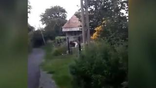 Cuplul care a bătut o mamă ce lua apărarea copilului ei, în Cluj, este cercetat judiciar