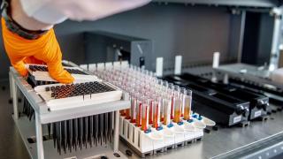 Tratamentul anti-Covid cu plasmă, autorizat în SUA. Trump: "Mă bucur că pot face un anunţ într-adevăr istoric"