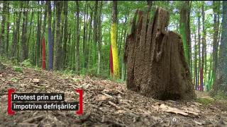 Observator 13 Weekend