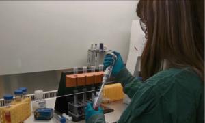 Statele din Uniunea Europeană ar putea avea la dispoziție un vaccin anticoronavirus până la sfârșitul acestui an