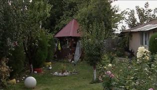 O femeie de 77 de ani din Giurgiu a fost ucisă de propriul câine în timp ce încerca să-l hrănească