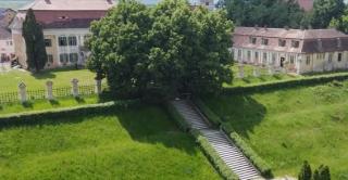 Va fi ospăț mare la Palatul Brukhental, cu preparate ca pe vremuri