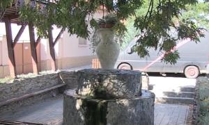 Leacul de la fântână dintr-un sat din Timiş, recomandat cu moderație