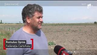 Observator 13 Weekend