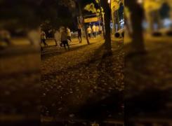 Imagini cu tinerii goniți de polițiști de la petrecerea bobocilor din Parcul Herăstrău (Video)
