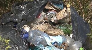 "Adunăm şi vâslim!", o acţiune de curăţare a unui lac din Mureş