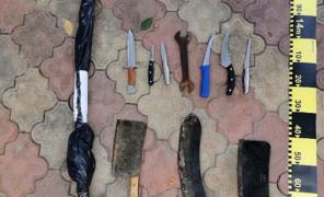 Descinderi în forță la clanul Sadoveanu. Oamenii legii au tras focuri de avertisment