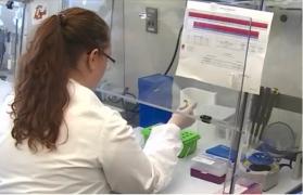 Călătorii din mai multe țări ar putea fi puși să se testeze de coronavirus înainte sau la intrarea în România