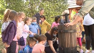 Meșteșugurile toamnei, prezentate copiilor din Mureș