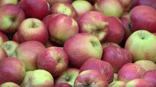 Fructele româneşti vor fi mai scumpe toamna asta