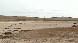 Păsările din Delta Dunării sunt în pericol. Lacurile din zona Murighiol au secat