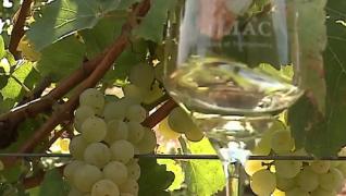 Vinul românesc, premiat cu aur la competițiile internaționale