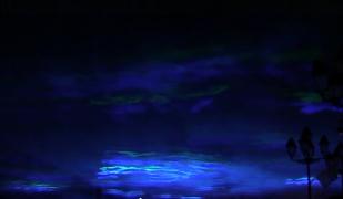 Luminile nordului, aduse pe cerul Timișoarei. Oamenii au admirat minute în şir spectacolul