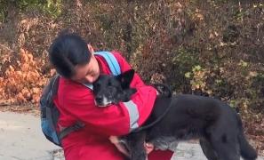 Campionatul Naţional al câinilor de salvare. Zeci de câini şi-au demonstrat calităţile de salvatori | Video