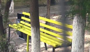 Olimpicii luați cu duba din curtea școlii, ținuți două ore la secție, fără să fie anunțați părinții