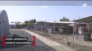 Ziua Mondială a Animalelor